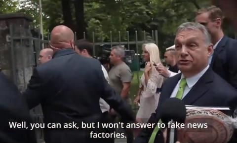 Screenshot from Real Answers